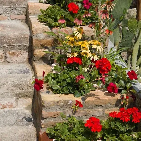 La Curt Del Boeff 4* Lasnigo