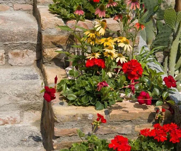 La Curt Del Boeff 4* Lasnigo