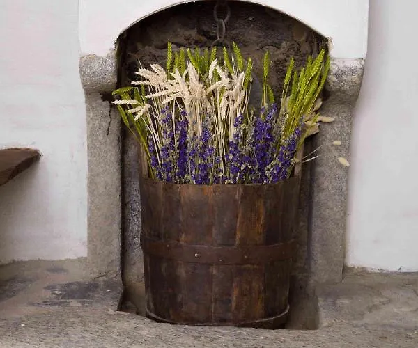 Bed & Breakfast La Curt Del Boeff