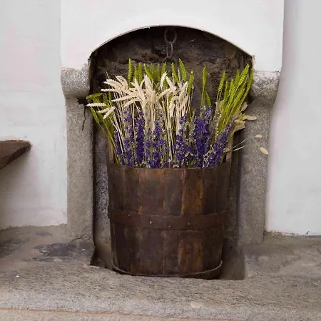 Bed and Breakfast La Curt Del Boeff